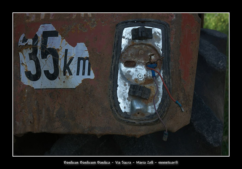 s_DSC_0880.jpg