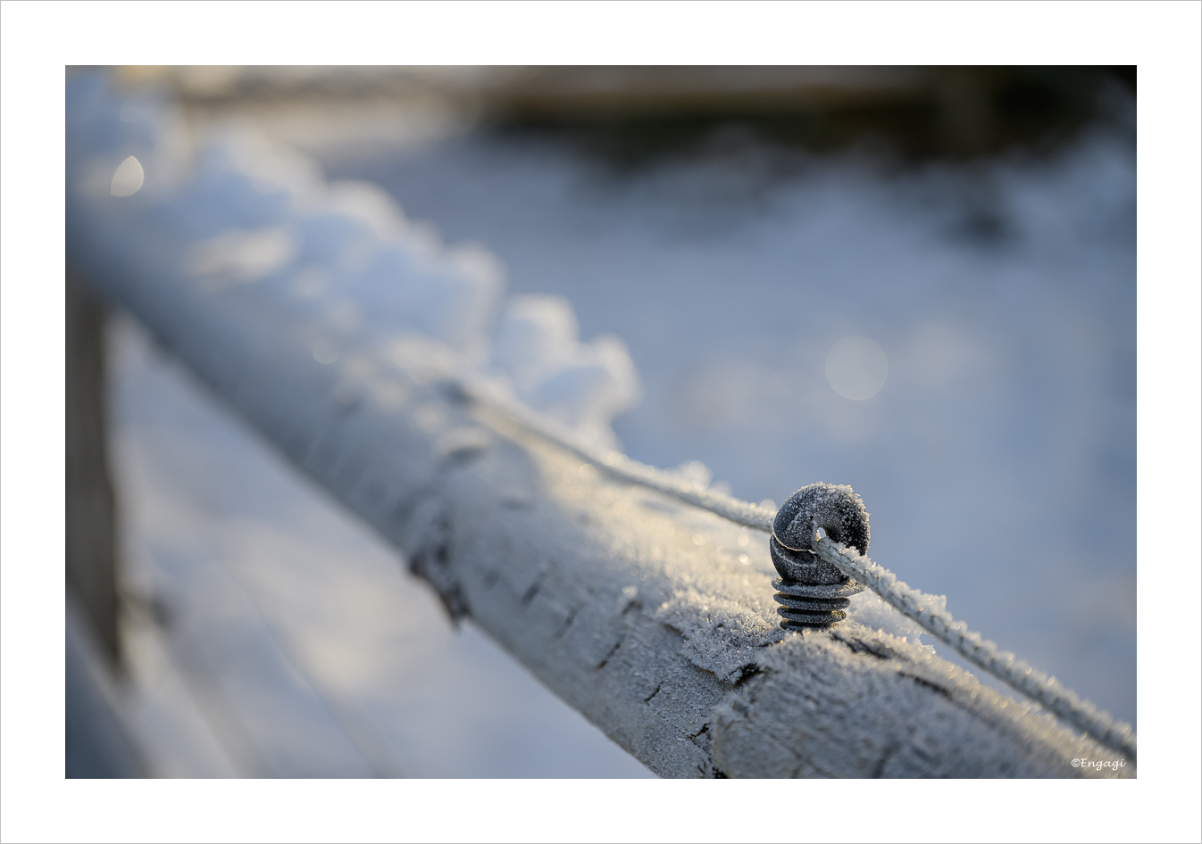 DSC_9580.jpg