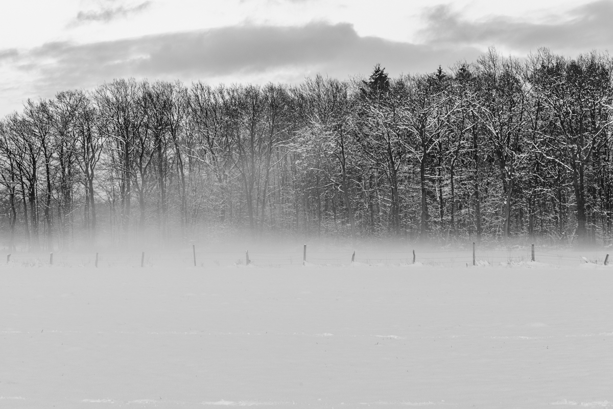 DSC_5336.jpg