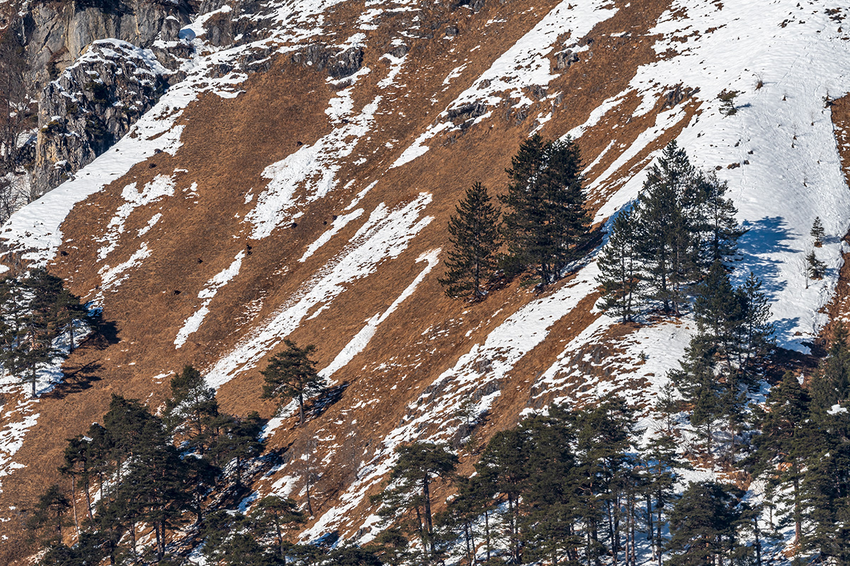 20220205_D500_0329NF.jpg