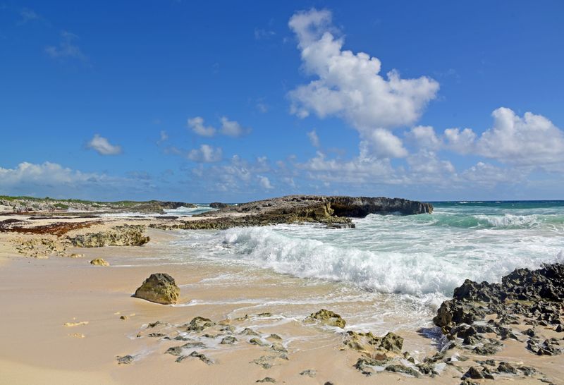 d75_0160.jpg