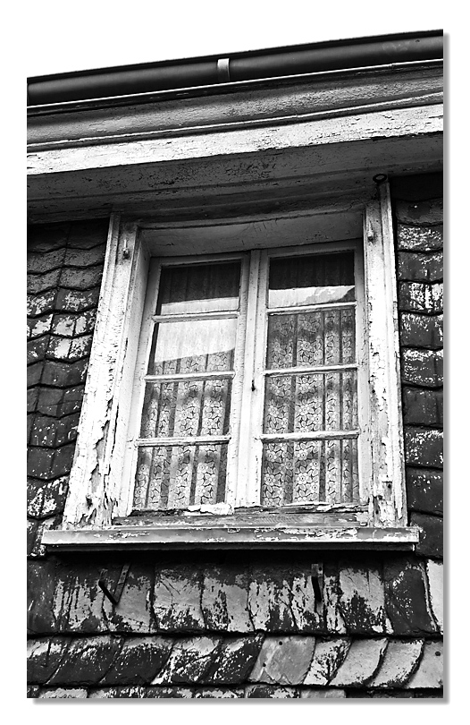 Fenster_4295.jpg
