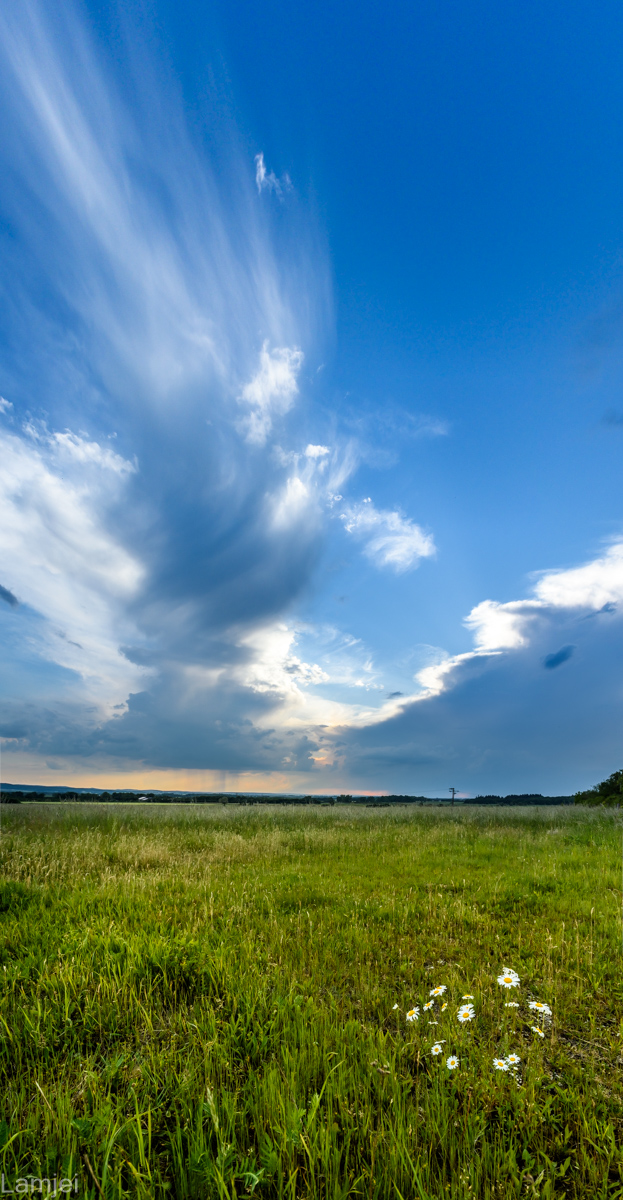 DSC_3593-Pano.jpg