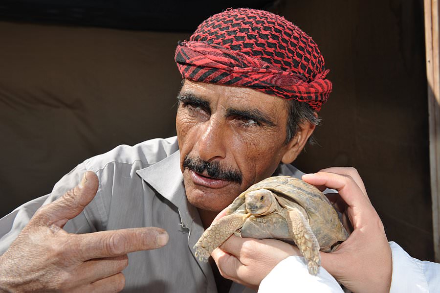 jordanien13_152.jpg