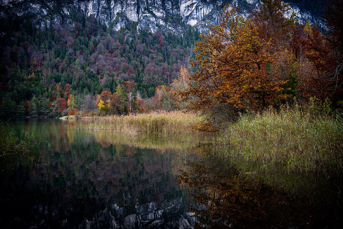 20201101_NZ7_0252NF.jpg