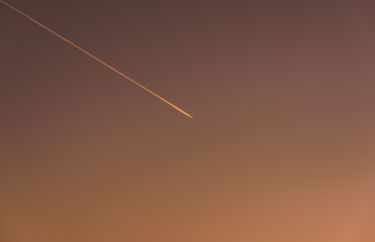 _RWN9013.jpg