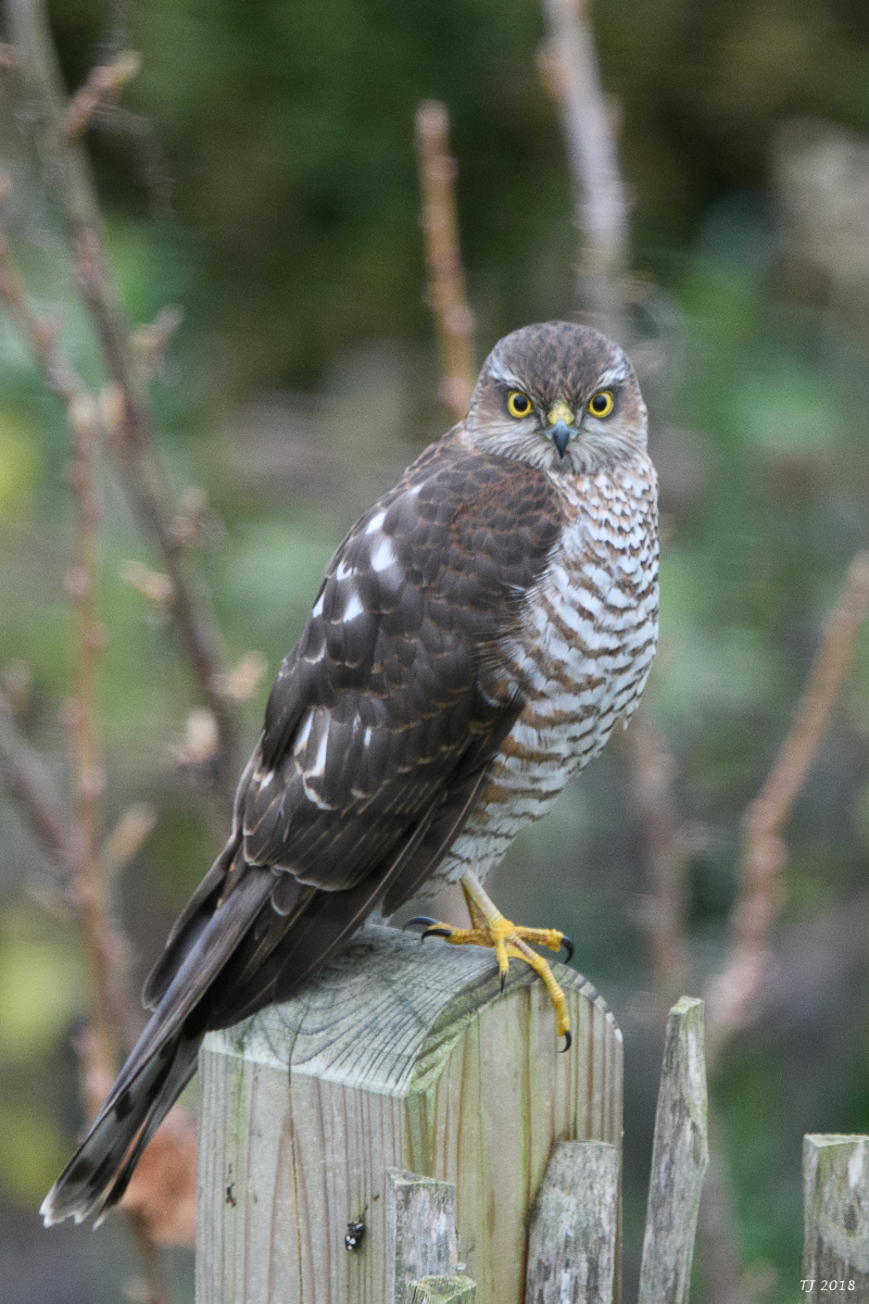 DSC_6841.jpg