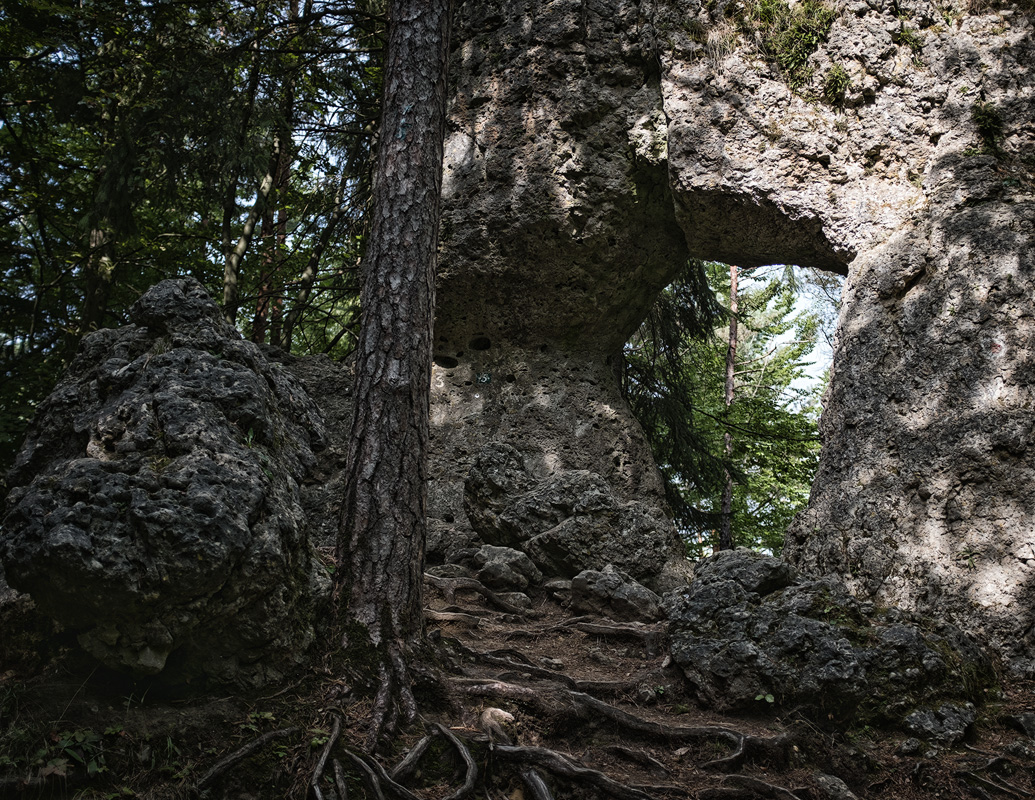 DSCF7792-web1.jpg