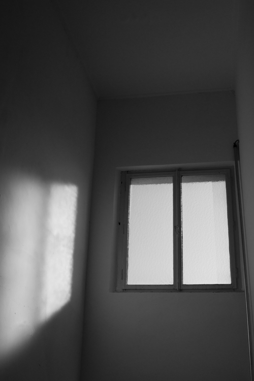 Fenster_7251.jpg