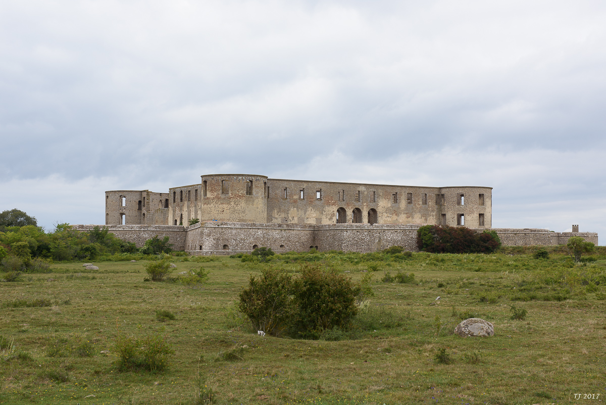 DSC_7793.jpg
