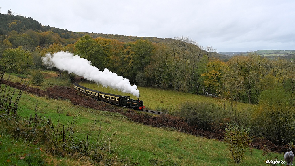 Das Bild zeigt eine Landschaftsaufnahme mit einer grünen Dampflok und vier braun-beigen Personenwagen in einer Kurve von einer erhöhten Position. Im Hintergrund sind Laubbäume mit einer leichten herbstlichen Färbung.