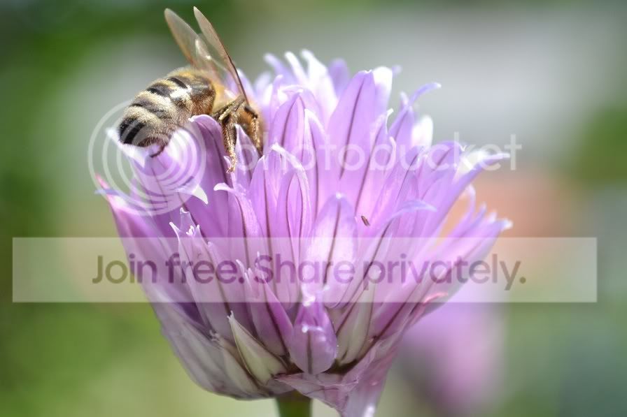 CSC_0077-verkleinert.jpg
