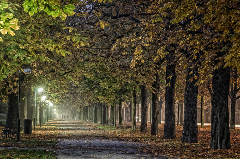 wien_8033.jpg