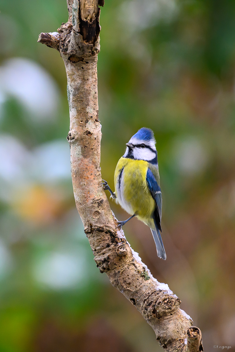 DSC_6749.jpg
