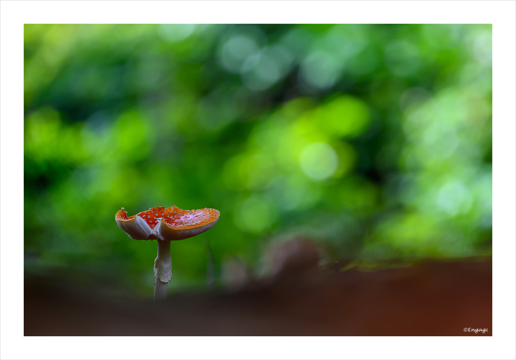 DSC_4612.jpg