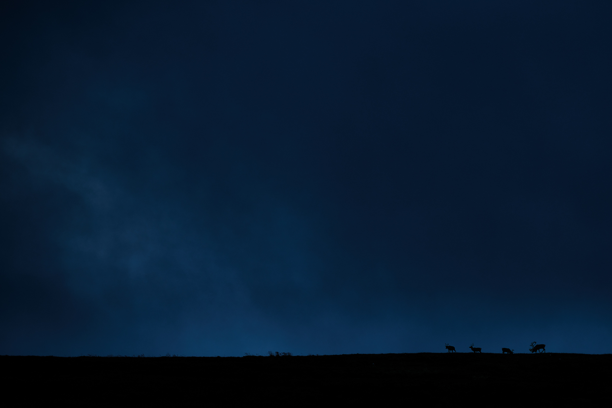 DSC_6050-X4.jpg