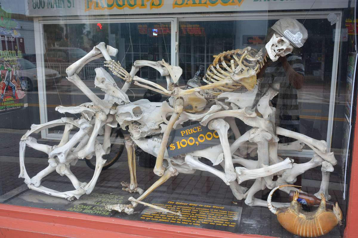 SkullBike.jpg