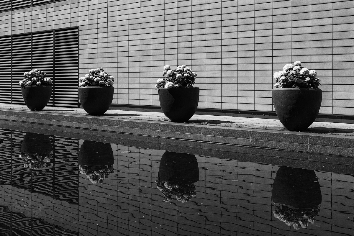 DSCF6834sw-web.jpg