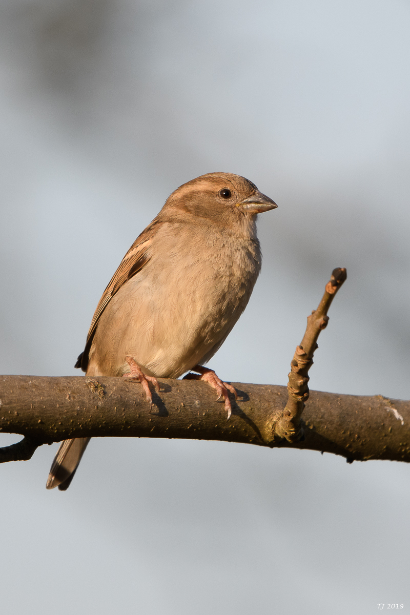 DSC_7262.jpg