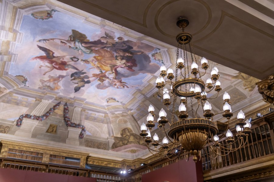 fl_gartenpalais24_50.jpg