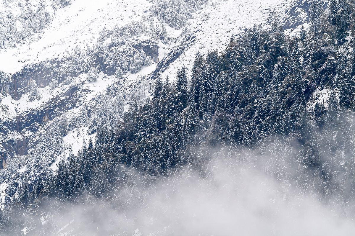20200926_ND5_3236NF.jpg