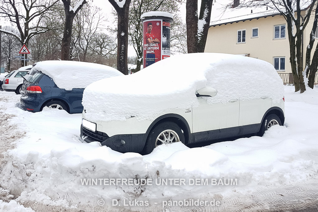 winterfreude-unter-dem-baum-auto-eingeschneit.jpg