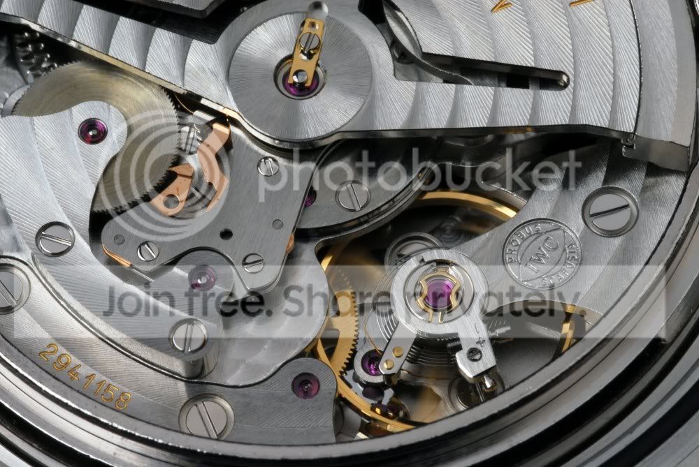 IWC_80110_08.jpg