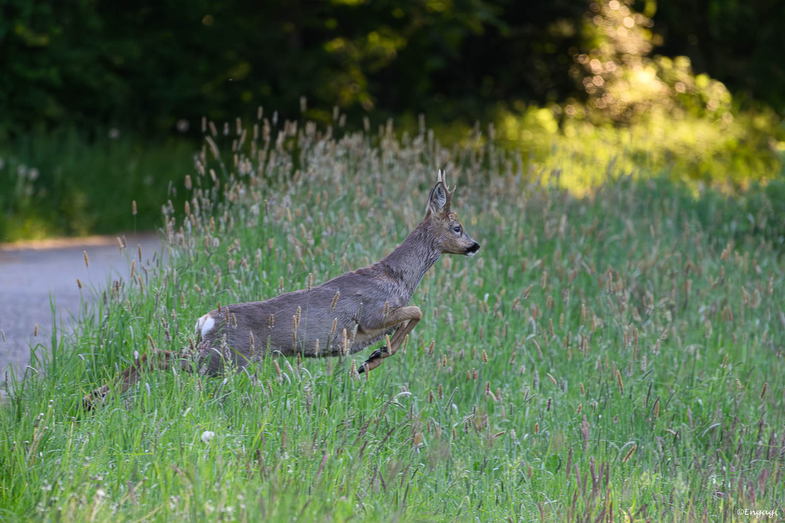 DSC_3807.jpg