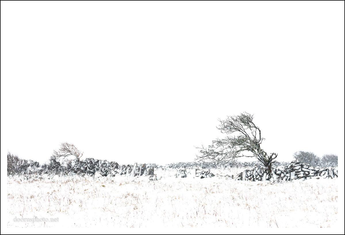 24972584397_00d1797ea7_o.jpg