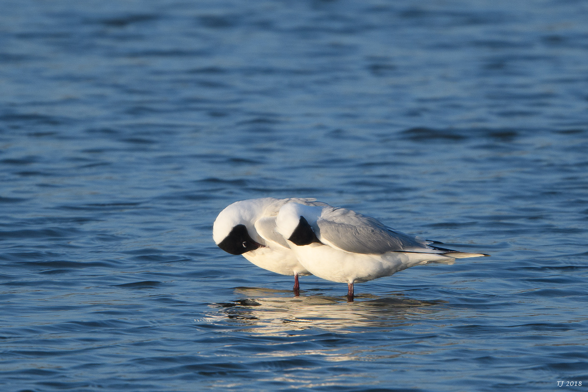 DSC_4259.jpg