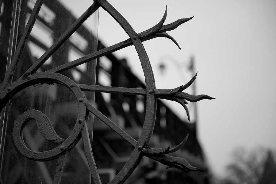 venedig14_23.jpg