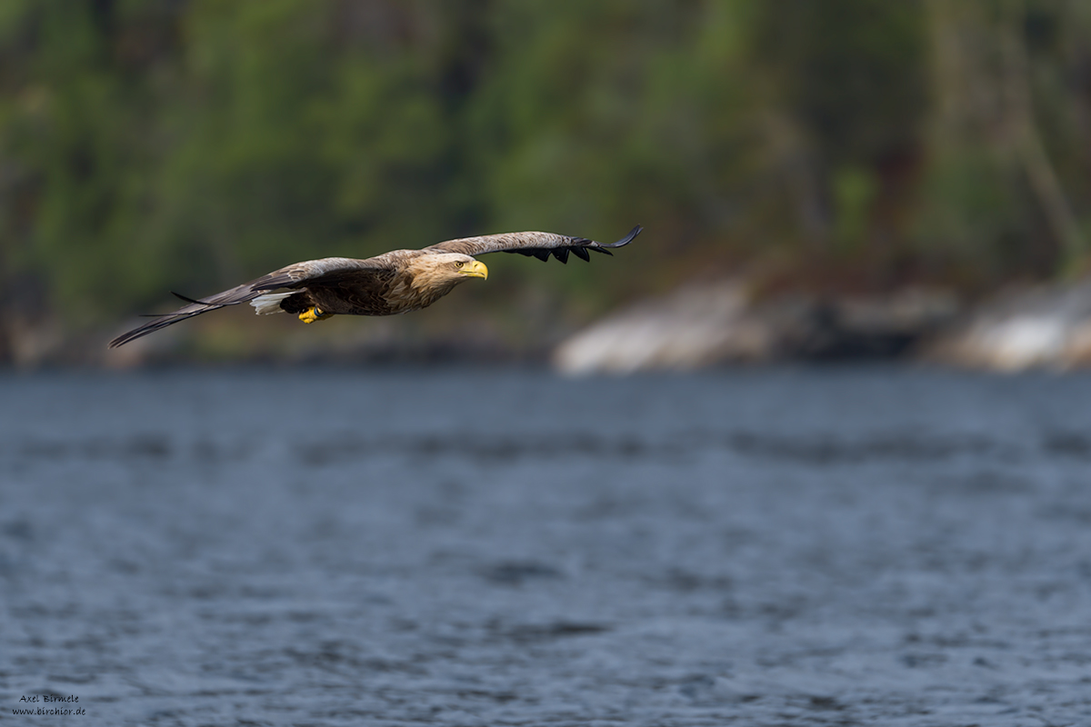 20140523_0267_PS_LAB_1200Px.jpg