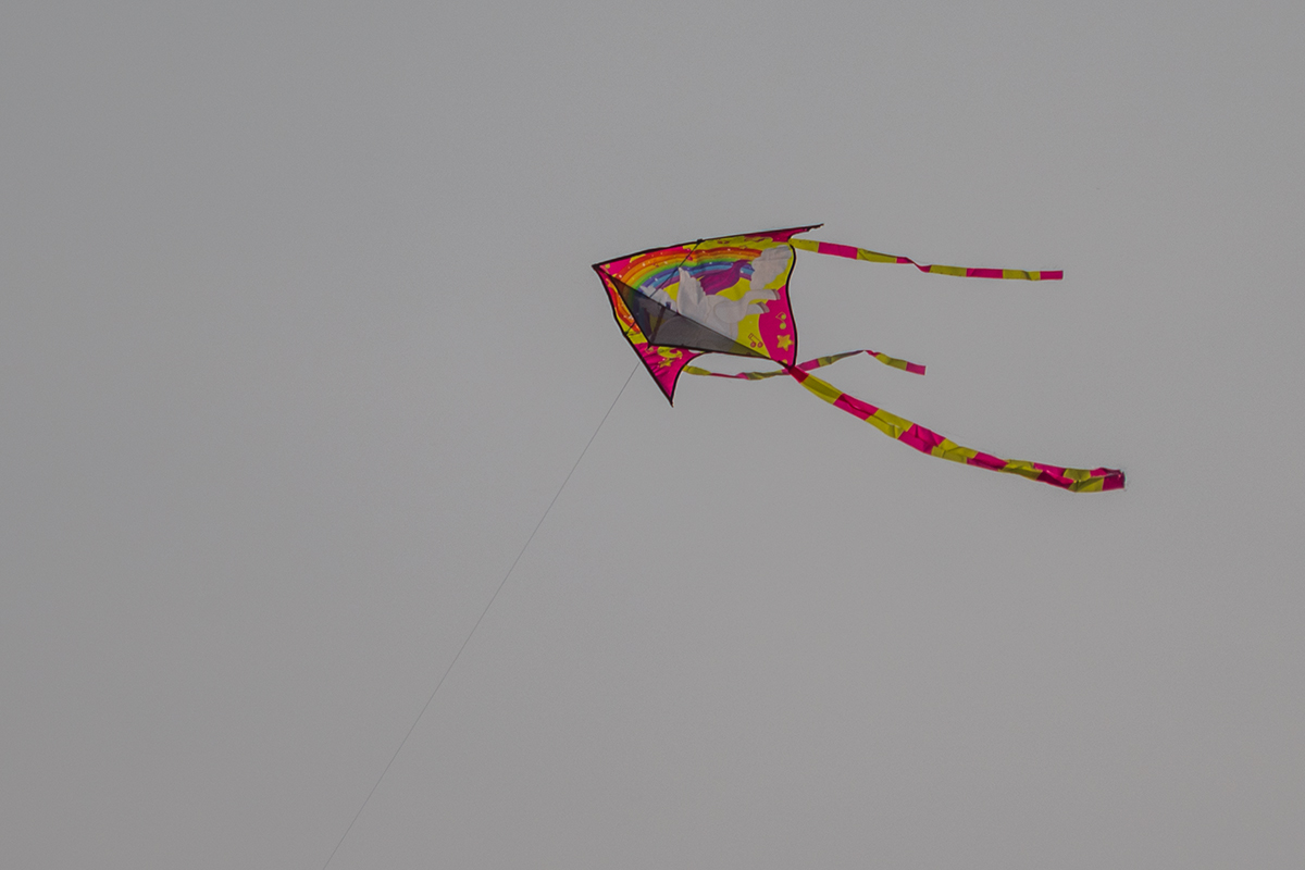 20230930_NZ9_3184NF.jpg