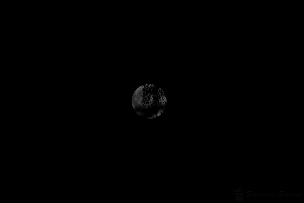 14944646770_6c002ea5e8_b.jpg