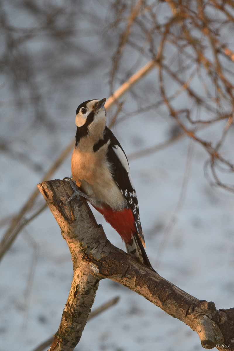 DSC_3589.jpg