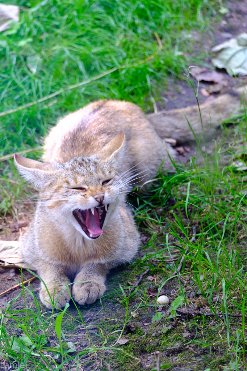 DSCF2959.jpg