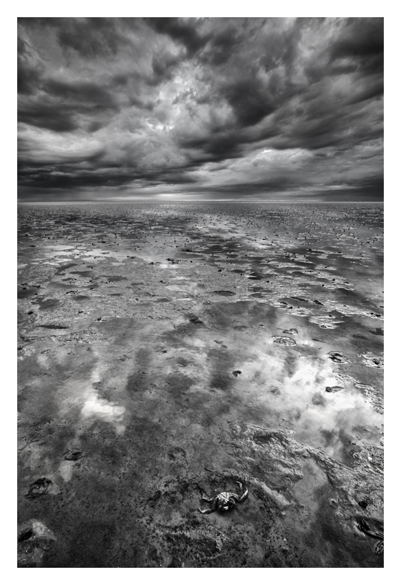 Nordsee-NFF-1.jpg
