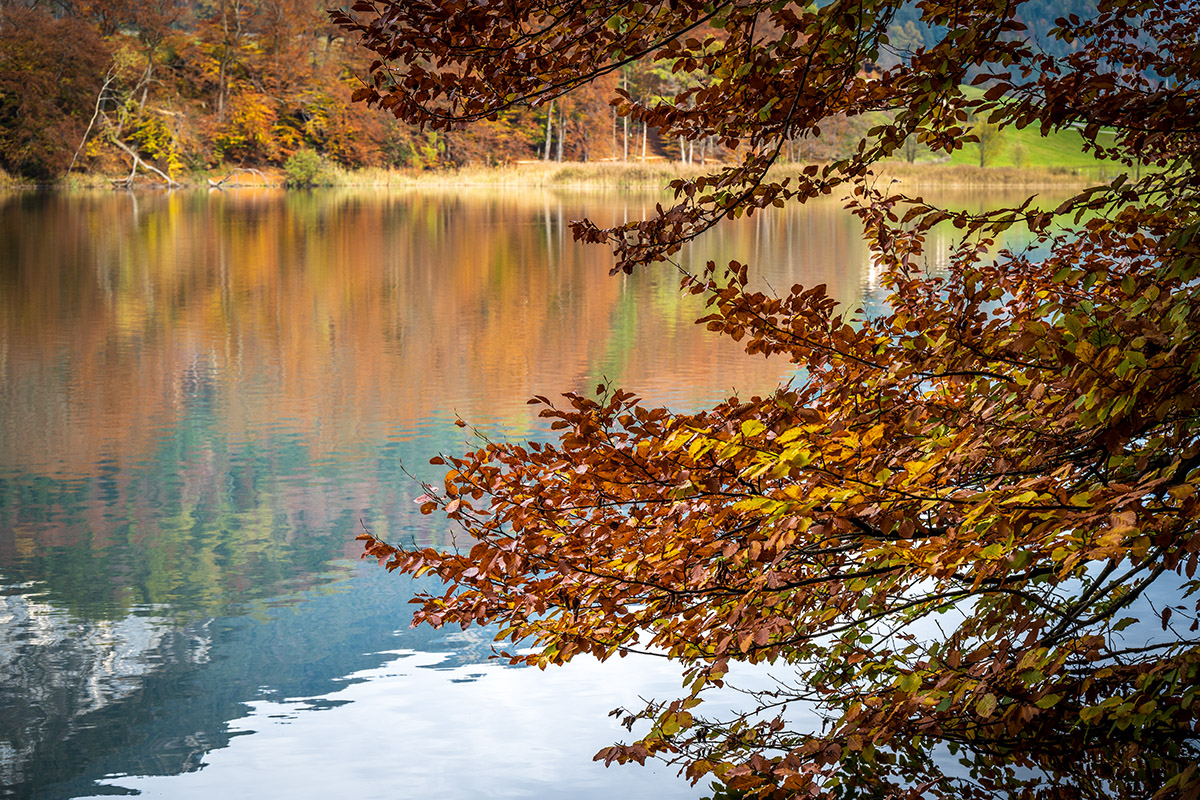 20201101_NZ7_0132NF.jpg