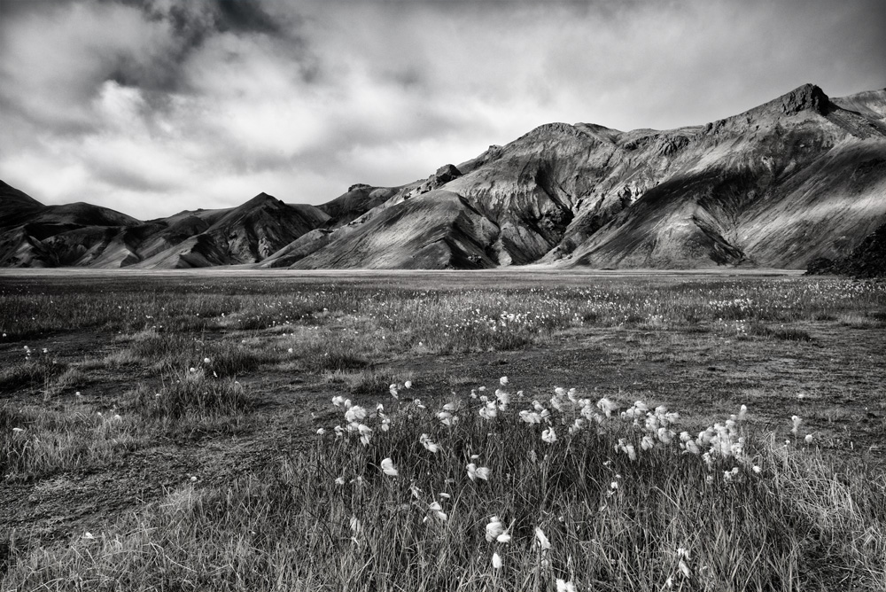 Iceland-2014-Landmannalaugar-1sw.jpg