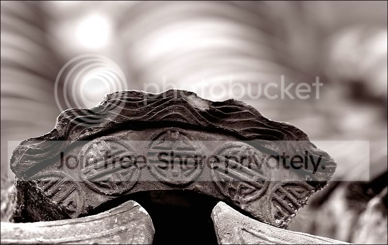 comp_D3X_6299_012.jpg