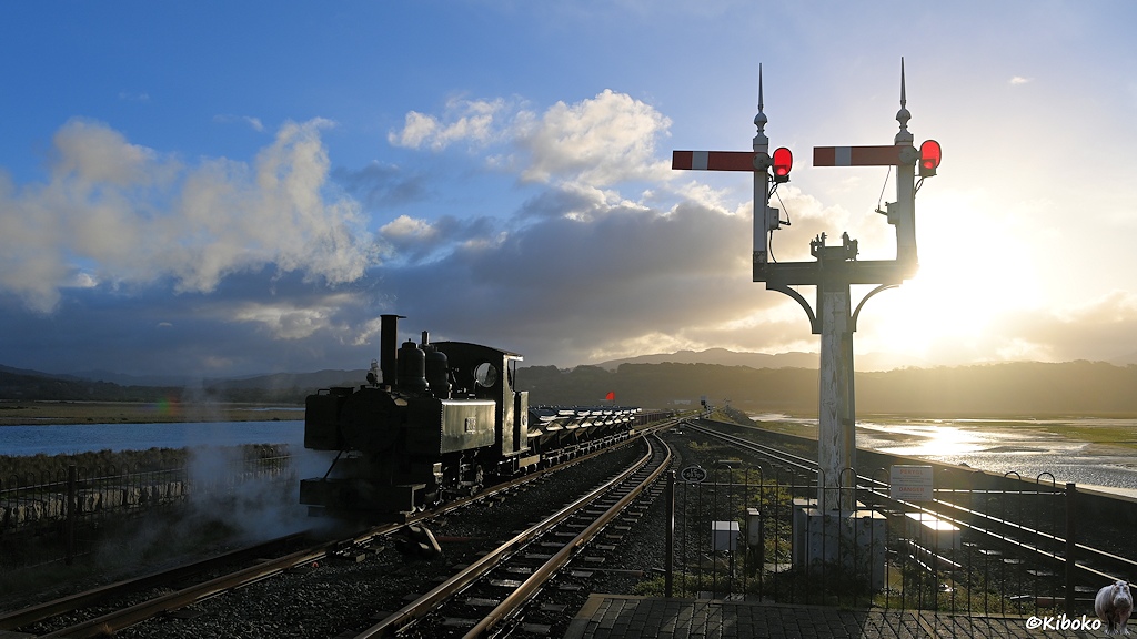 Das Bild zeigt eine Dampflok die einen Lorenzug im Gegenlicht auf einen Damm schiebt. Am rechten Bildrand steht ein Signal mit zwei waagerechten roten Flügeln.