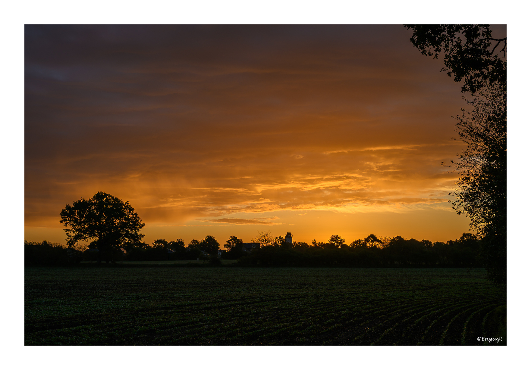 DSC_0042.jpg