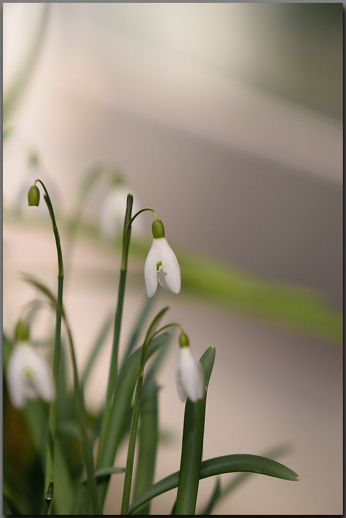 KR_DSC_6270_g.jpg