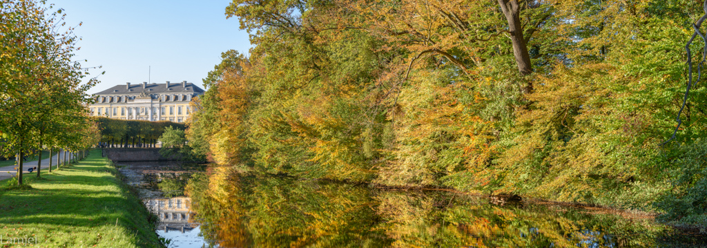 DSC_1319.jpg