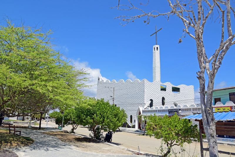 d75_9853.jpg