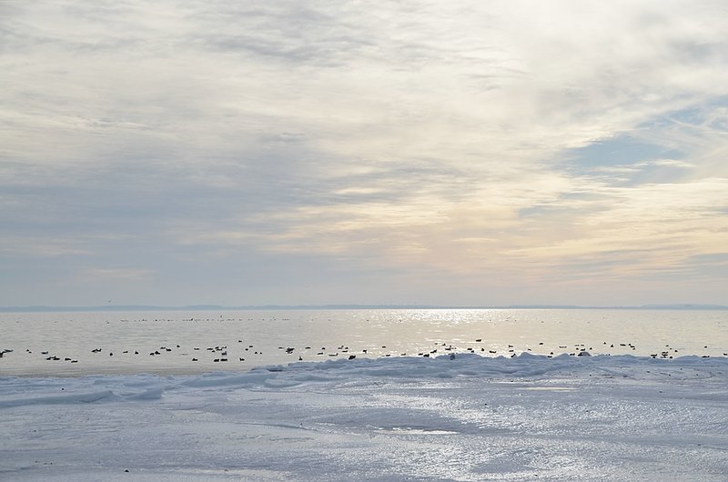 20912221rz.jpg