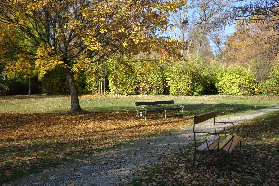 161109_115112.JPG