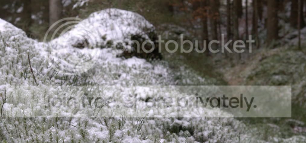 1_dsc_1738_ea_26p.jpg