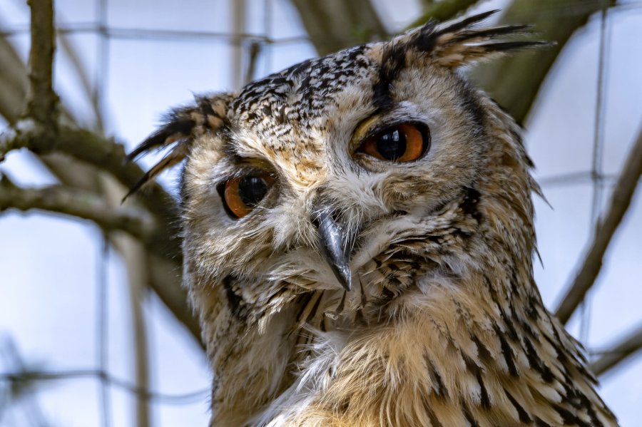 tierpark_haag23_78.jpg
