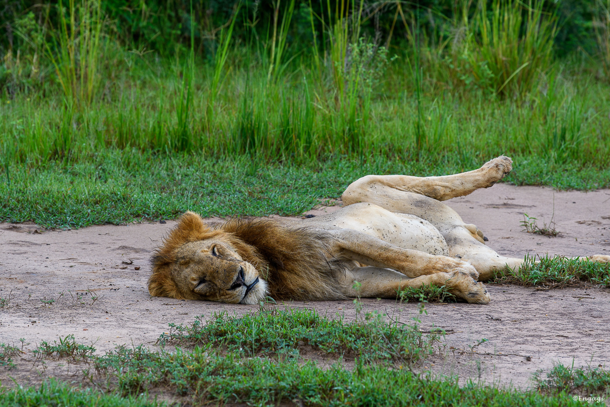 Uganda%200510.jpg